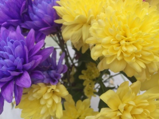 Yellow and Purple Chrysanthemums (Aldi)