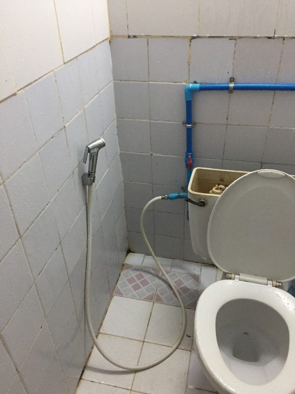 toilet in bathroom in Phonsavan guest house